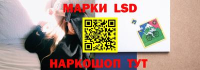 винт Новозыбков