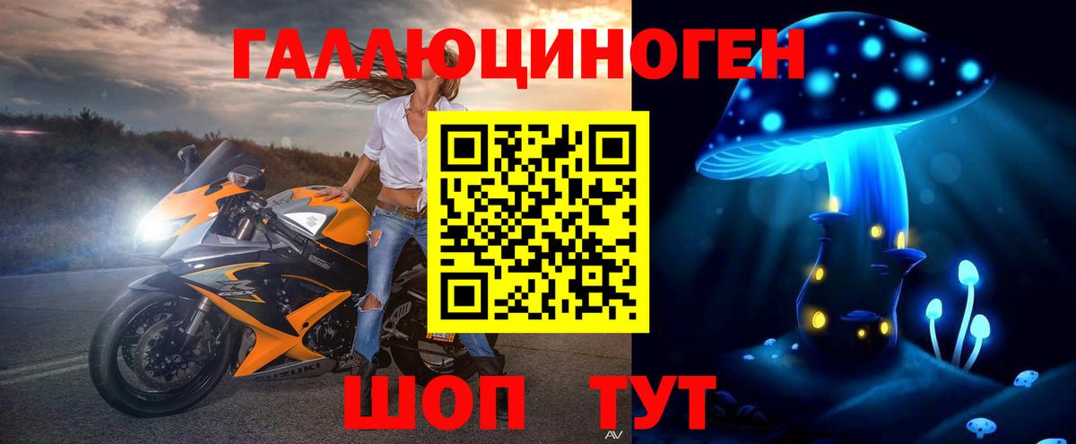 Узловая  Псилоцибиновые грибы MAGIC MUSHROOMS  Вход с VPN  Псилоцибиновые грибы Cubensis 