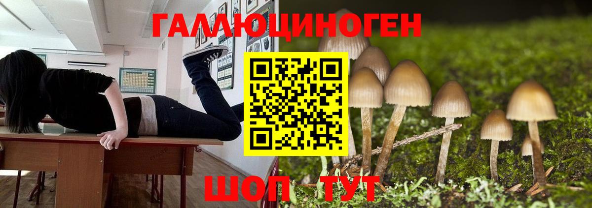 Псилоцибиновые грибы прущие грибы Узловая
